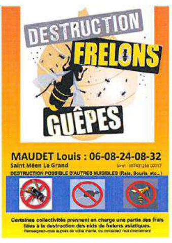Guêpes, frelons : vigilance de saison